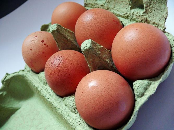 鸡蛋,鸡蛋纸箱,鸡蛋,食品,蛋盒,棕色的鸡蛋,鸡蛋销售包装